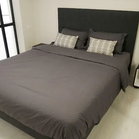 Grand Loft Chic Et Moderne, Deco Industrielle