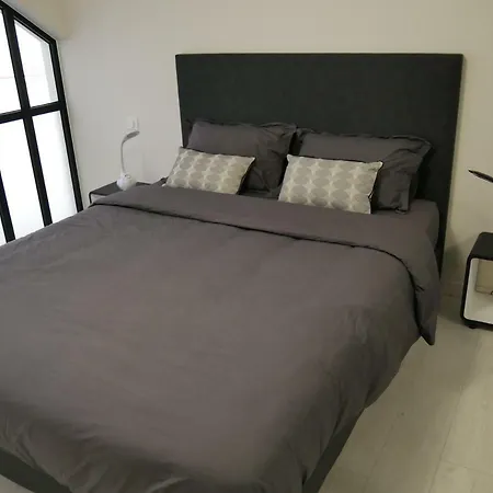 Grand Loft Chic Et Moderne, Déco Industrielle Appartement *